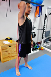 Triceps Extension 1